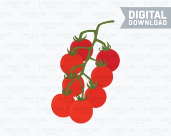 Tomato Vine SVG, Tomato PNG, Tomato EPS, Tomato, Tomato Vine svg, Cherry Tomato eps - Digital Download, Instant Download