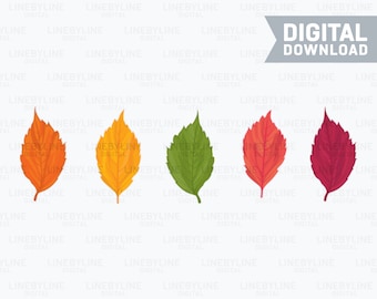 Autumn Leaves, Autumn Leaves Art, Leaves Art, Leaves PNG, Fall Leaves PDF, Falling Leaves, Fall Leaves - Digital Download Instant Download