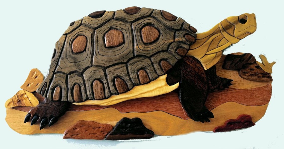 Tortuga del desierto en peligro de extinción colgante de | Etsy
