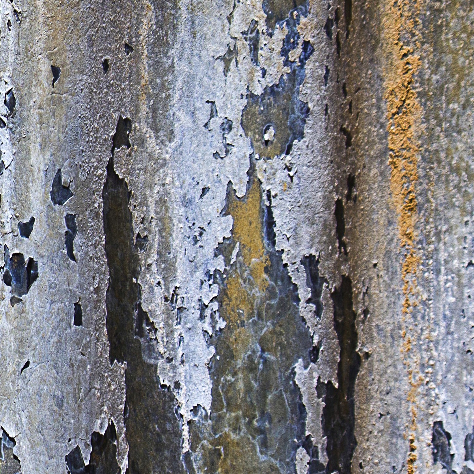 Modern industrial shower curtain set in gold and gray Etsy