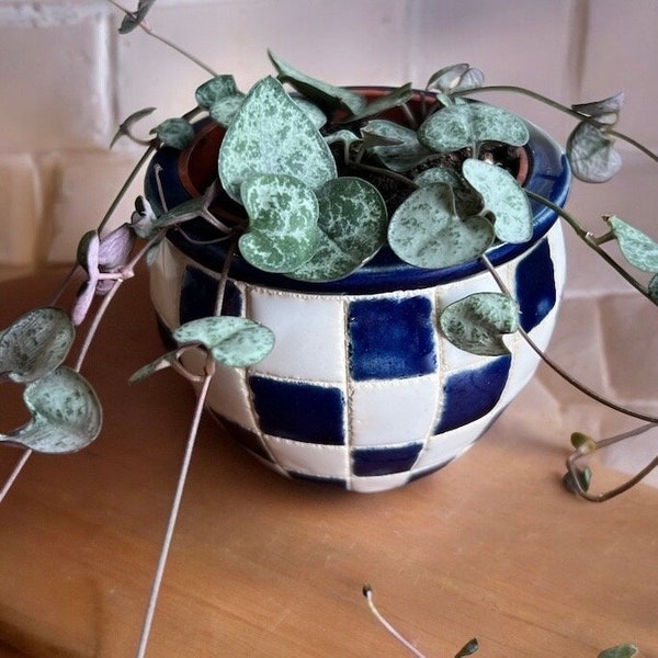 Cutest Little Vintage Blue Checkered Ceramic Mini Plant Pot