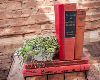 Red Book Set, Red Book Stack, Red Books for Decor, Vintage Book Bundle, Instant Library 1910-1979