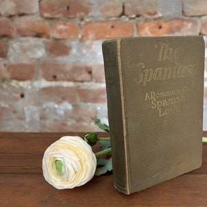 The Spaniard A Romance of Spanish Love Juanita Savage A.L Burt Company 1924 Hardcover Book