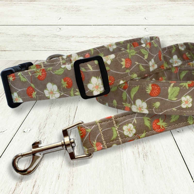 Spring Dog Collar - Etsy