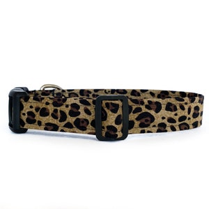 Cheetah Print Dog Collar - Animal Print Dog Collar - Girl Dog