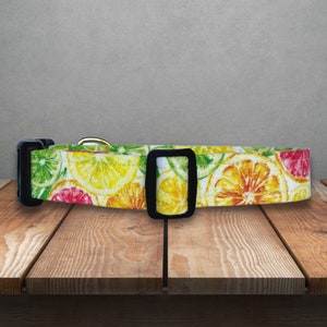 Lemon Fruit Dog Collar - Boy Dog Collar - Girl Dog Collar - Summer Dog Collar + matching Dog Leash