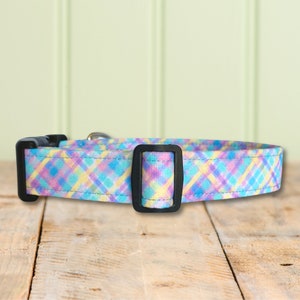 May include: A light blue, yellow, and purple plaid dog collar with a black plastic buckle.