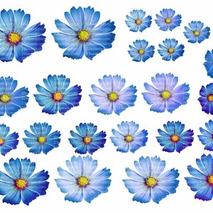Fleurs de marguerite de couleur bleue COMESTIBLES, 32 pièces prédécoupées, différentes tailles, papier gaufrette, gâteau, décoration de gâteau de gâteaux, toppers de cupcake, végétalien