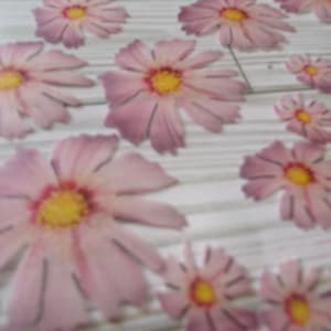 Marguerites de couleur rose COMESTIBLES, FLEURS, 32 morceaux prédécoupés, différentes tailles, papier gaufré, gâteau, décoration de gâteau cake pops, toppers cupcake, végétalien