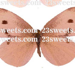PAPILLONS COMESTIBLES pêche foncé, 30 pièces prédécoupées, différentes tailles, gaufrette papier, gâteau, décoration de gâteau cake pops, décorations de cupcakes
