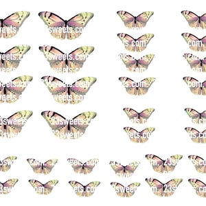 PAPILLONS panachés COMESTIBLES, 32 pièces prédécoupées, différentes tailles, papier gaufrette, gâteau, décoration de gâteau cake pops, cupcake toppers, végétalien