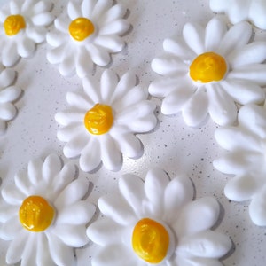 Royal Icing Daisies: White & Yellow Cake Cupcake Toppers (1 Dozen, 2 inch)