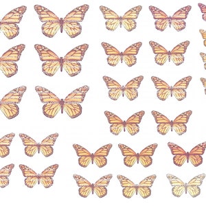 PAPILLONS COMESTIBLES PÊCHE, 32 papillons prédécoupés, différentes tailles, gaufrette papier, gâteau, décorations pour cupcakes, décoration de petits gâteaux, végétalien