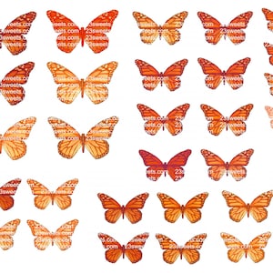 PAPILLONS Orange COMESTIBLES, 32 pièces prédécoupées, différentes tailles, papier gaufrette, gâteau, décoration de gâteau cake pops, cupcake toppers