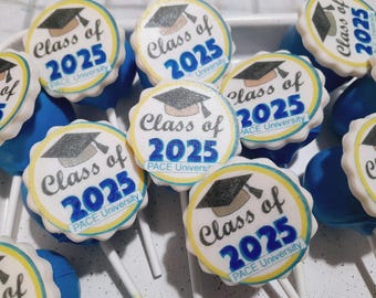 Graduation Cake Pops, Class of 2027, Pace University, 1 Dozen Party Favors
