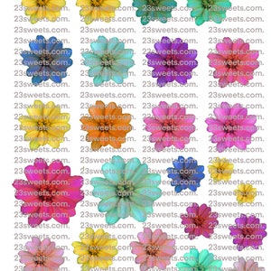MARGUERITES COMESTIBLES MULTICOLORES, 24 fleurs marguerites arc-en-ciel prédécoupées, différentes tailles, gaufrette en papier, gâteau, décorations de cupcakes cake pops, végétalien