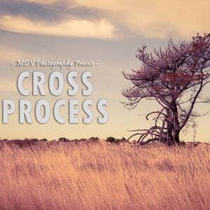Cross Process Lightroom Presets, Outdoor Presets, Travel Presets, Nature Presets, Blogger Presets, Best Presets, Landscape Presets, Presets
