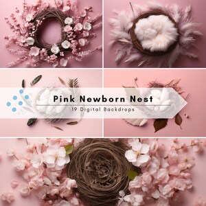 Newborn Backdrops, Decorated Wall Backdrop, Photography Backdrop, Fine Art Digital Backdrop, Photoshop Overlay, Backdrop Overlay, Overlaye