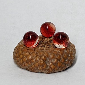 Könnte beinhalten: Drei kleine rote Glasmurmeln mit Luftblasen darin, die auf einer braunen Eichel liegen.