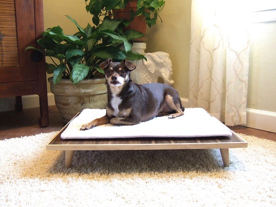 platform dog bed