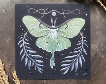 Luna Moth Illustration // 5 x 5 Cute Archival Print // Art Gift // Cosmic Woodland // Mystical Mini Print