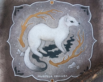 May include: A white stoat, also known as an ermine, is depicted in a stylized illustration. The stoat is surrounded by gold branches and a dark gray background with white stars. The text "Mustela erminea" is written below the stoat.