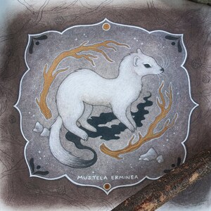 Mustela Erminea // Archival Matte 8 x 8 Hand Embellished Art Print // White Weasel Spirit
