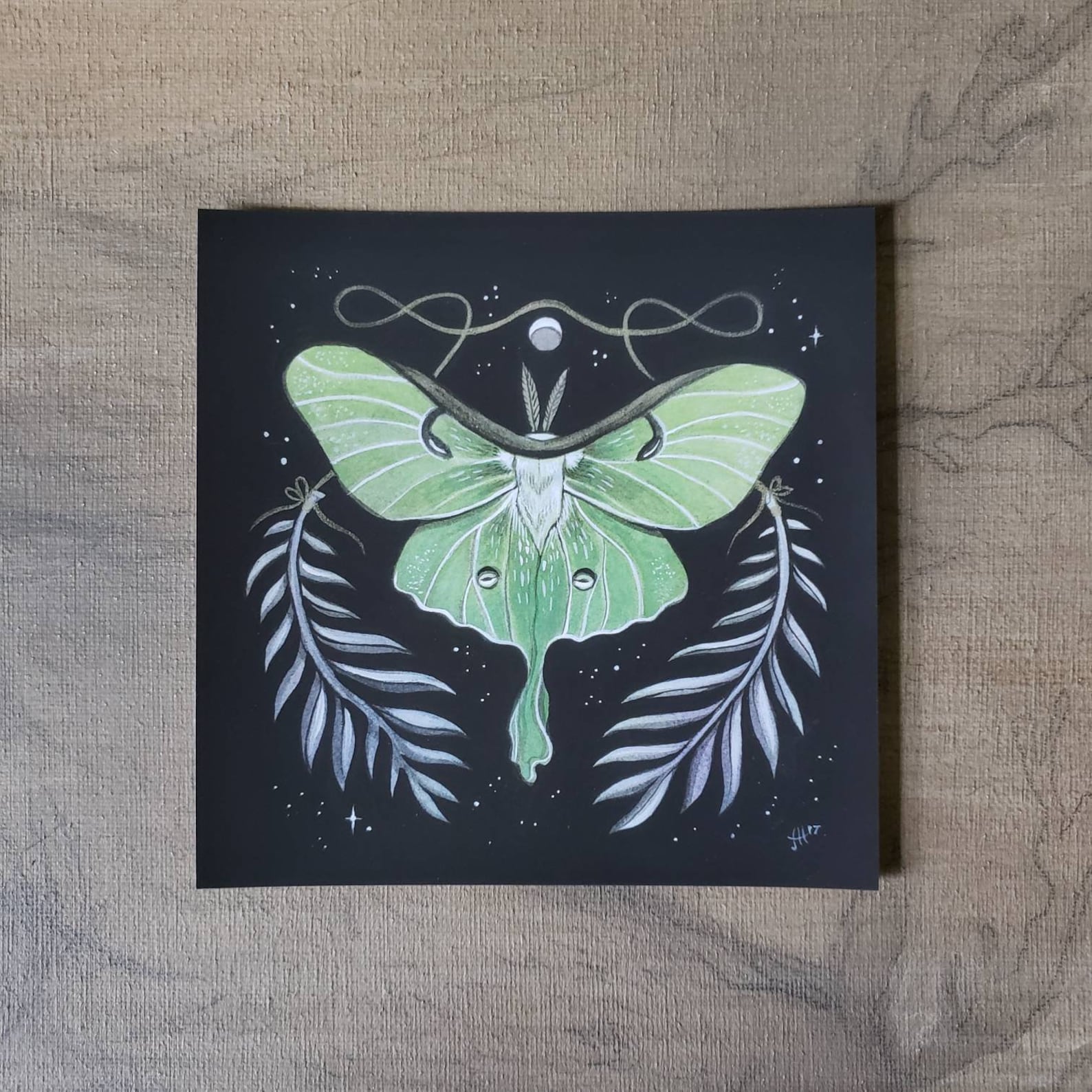 Luna Moth Illustration // 5 X 5 Cute Archival Print // Art Gift ...