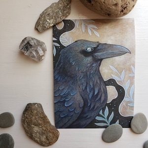 5x7 Rabe Giclée-Druck