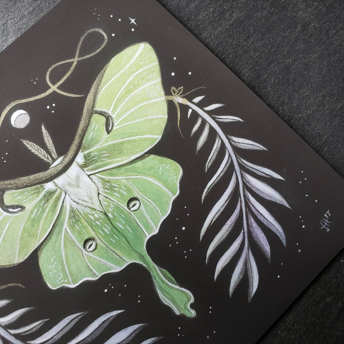 Luna Moth Illustration // 5 X 5 Cute Archival Print // Art Gift ...