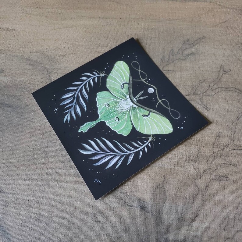 Luna Moth Illustration // 5 X 5 Cute Archival Print // Art Gift ...
