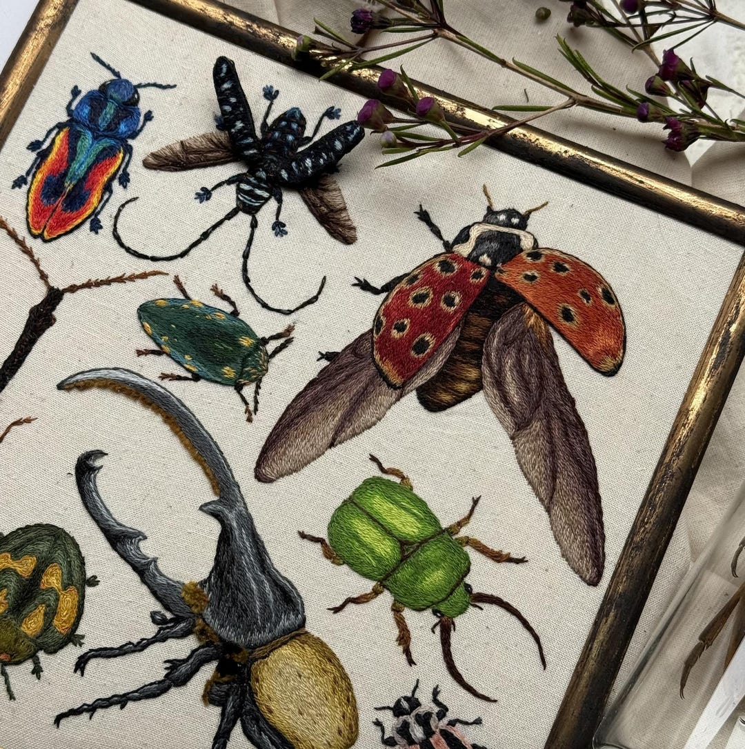 Embroidery Pattern: Bugs - Etsy