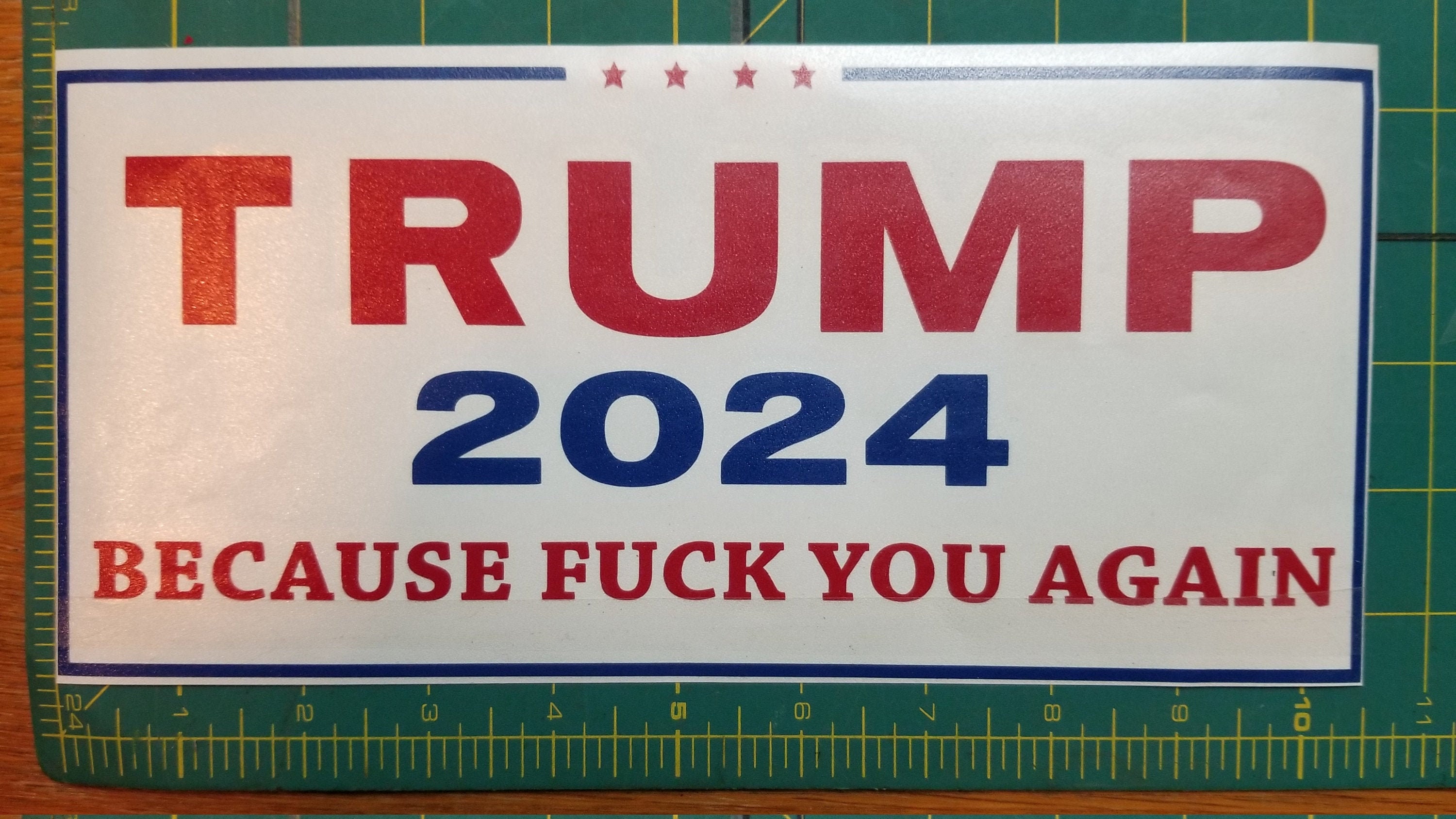 Trump 2024 FU Again Clear Background / Sticker FREE SHIPPING Etsy