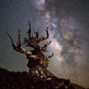 The Ancients: Night sky & milky way metal print / photo print image 1