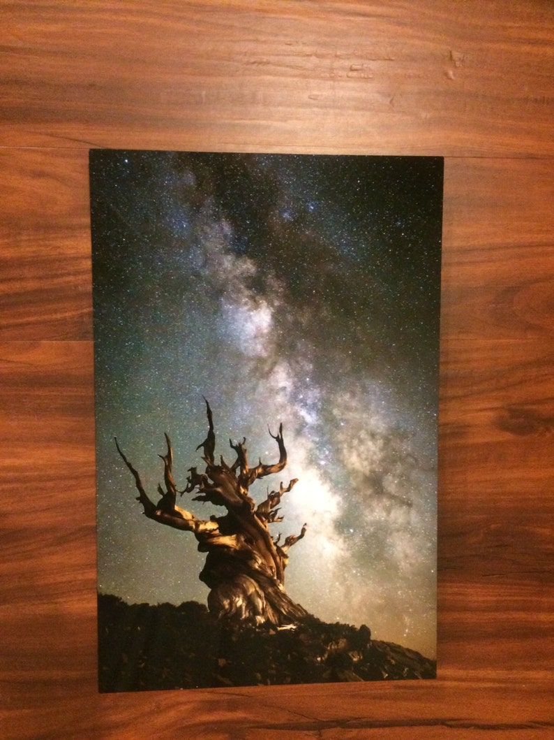 The Ancients: Night sky & milky way metal print / photo print image 3