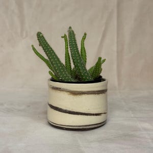 marble ceramic plant pot, handmade planter, mini marbled planter with drainage