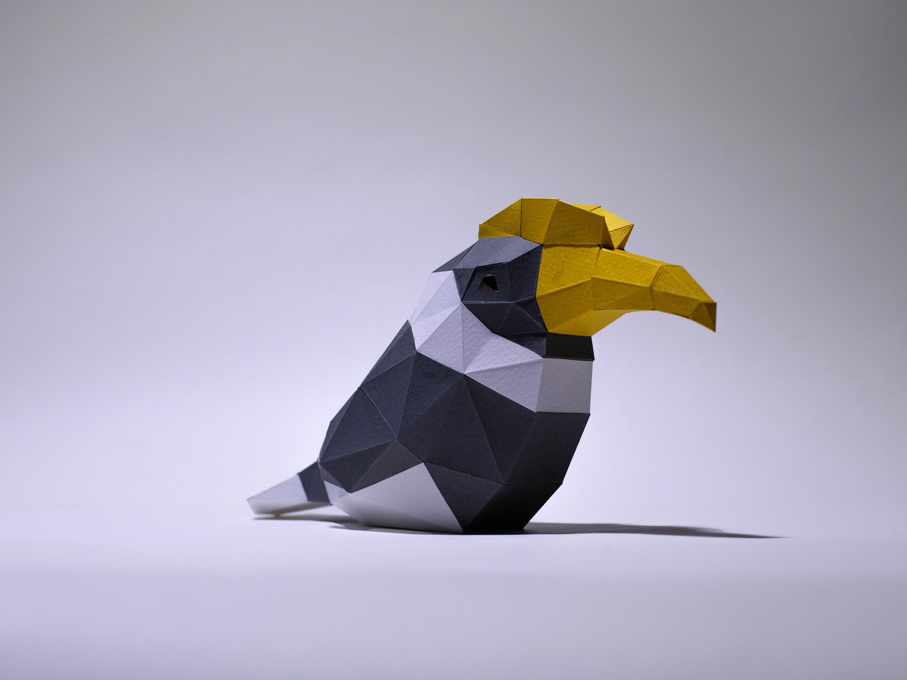 3D Papercraft Bird Model: Toucan & Hornbill DIY Decor (PDF Template) - Etsy
