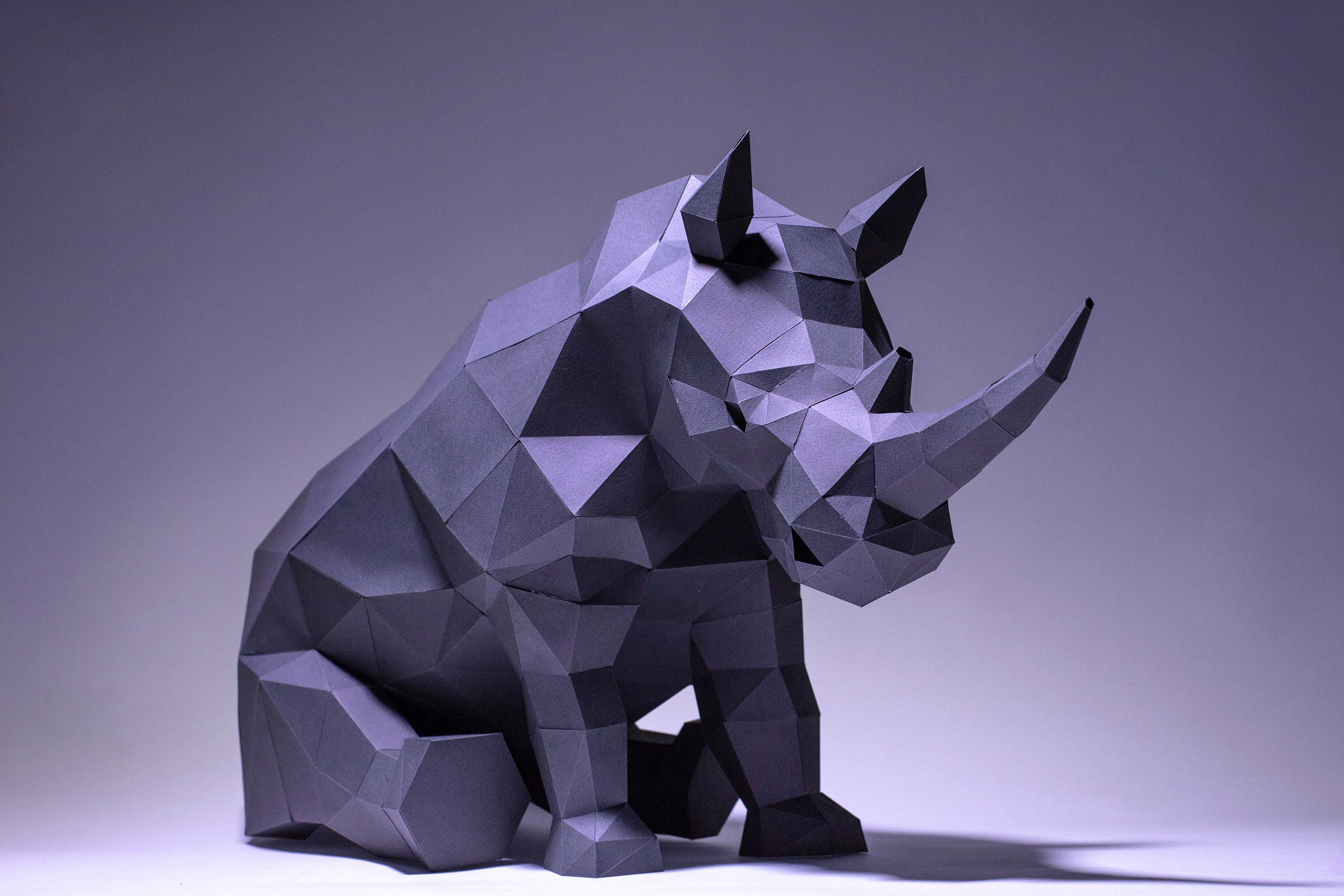 洋楽 Black Rhino / Paper Throne il_fullxfull.3107784719_fz7x.jpg