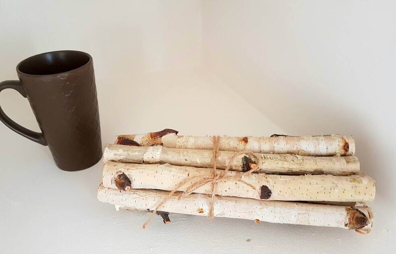 15 Birch Sticks White Birch Branches Birch Wood Logs Etsy