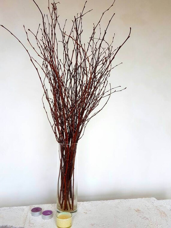 100 Birch Branches 25 27birch Bundles Tall Birch Etsy