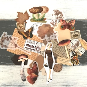 Pacote de papel marrom para diário / Ephemera marrom / Diários / Suprimentos para artesanato / Scrapbooking / Diário de lixo