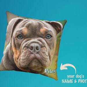 Photo Pillow, Custom Pet Pillow, Dog Pillow, 14&quot;, 16,&quot; 18&quot;, Washable Cover, Custom Dog Gift, Personalized Pillow