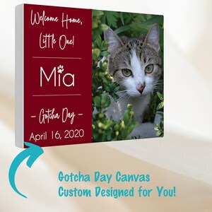 Custom Cat Canvas Art, Welcome Home Cat Rescue/Adoption Canvas, Pet Adoption/Rescue, Gotcha Day Cat Wall Art, Cat Lover&#39;s Gift, Cat Adoption