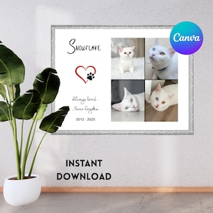 Cat Collage, Canva Drag & Drop Collage, Editable Photo Template, Cat Remembrance, DIY Template, Animal Memorial Print