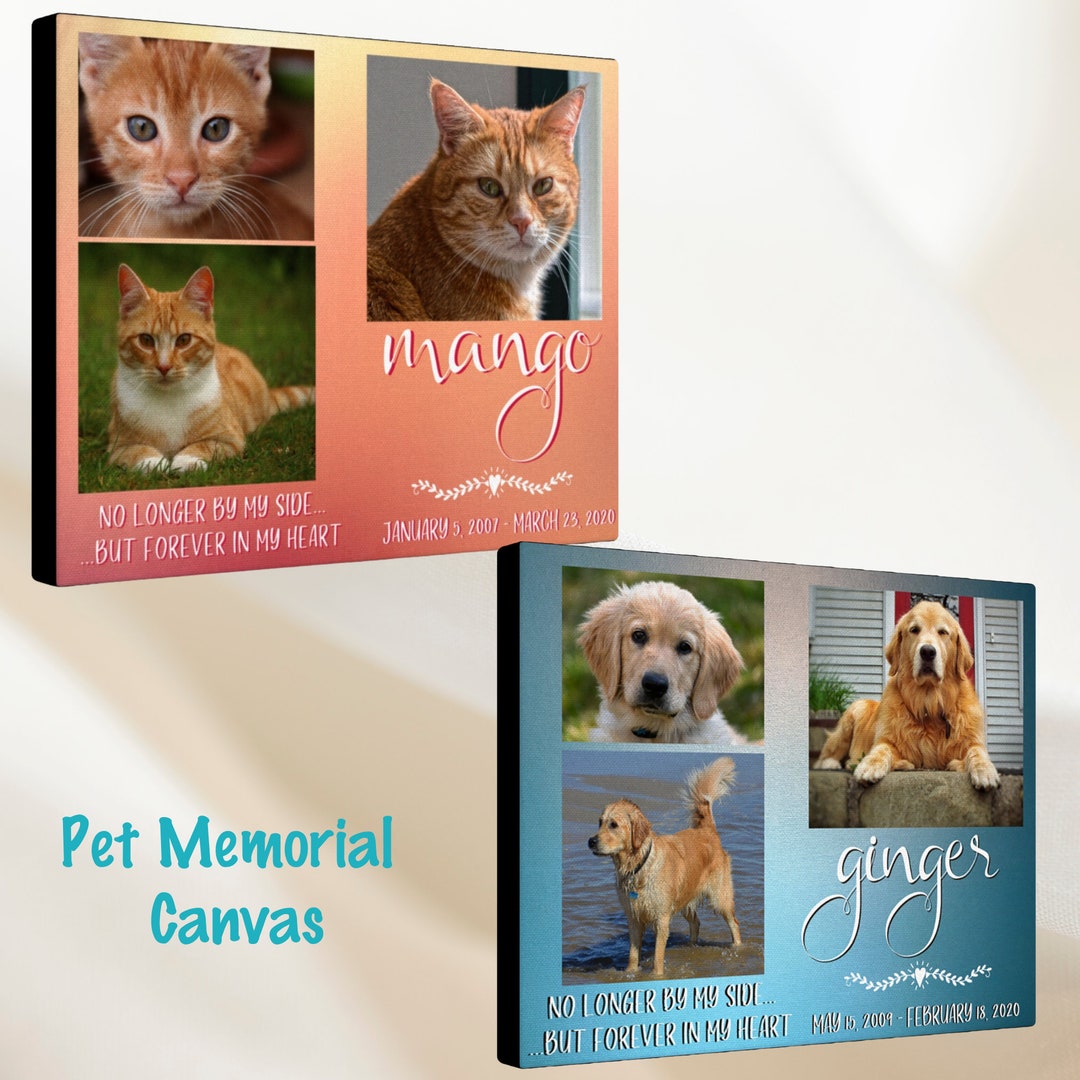 Pet Memorial Canvas Pet Memorial Wall Art Pet Memorial Gift Etsy