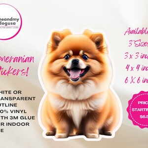 Pomeranian Vinyl Sticker, Puppy Sticker, Pomeranian Sticker, Pomeranian Lover Gift, Pomeranian Puppy Sticker, Pomeranian Laptop Sticker