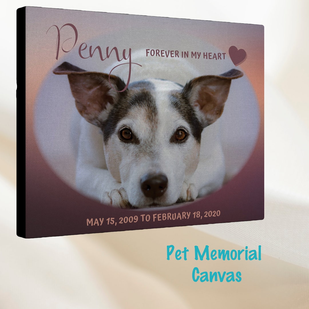 Pet Portrait Memorial Canvas, Dog Memorial Gift, Pet Loss Canvas, in ...