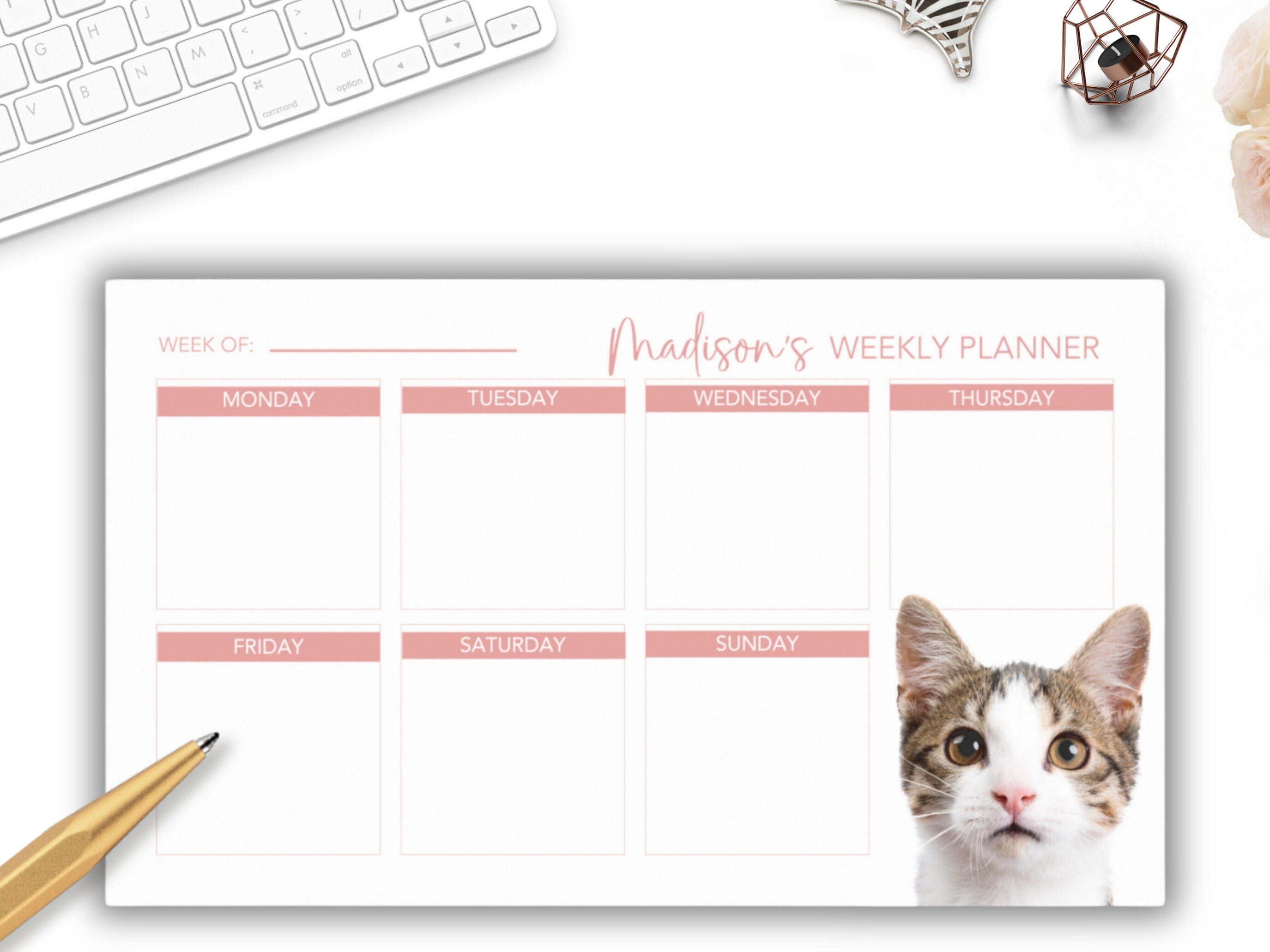 Custom Pet Photo Post-it Note Planner, 10 X 6-inches, Weekly Planner ...