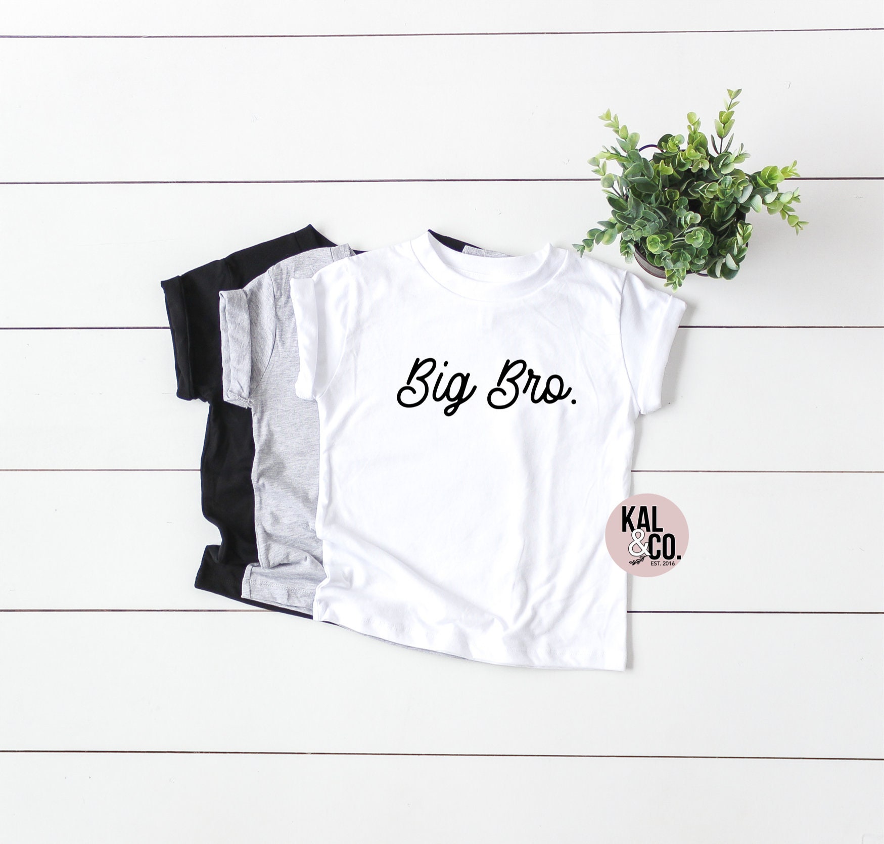 big brother announcement onesie