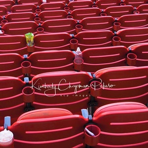 Busch Stadium Seat St Louis Cardinals Red Baseball Fine Art Photography